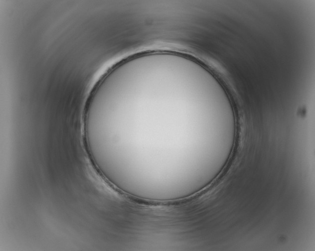 X0000111181280200907011024