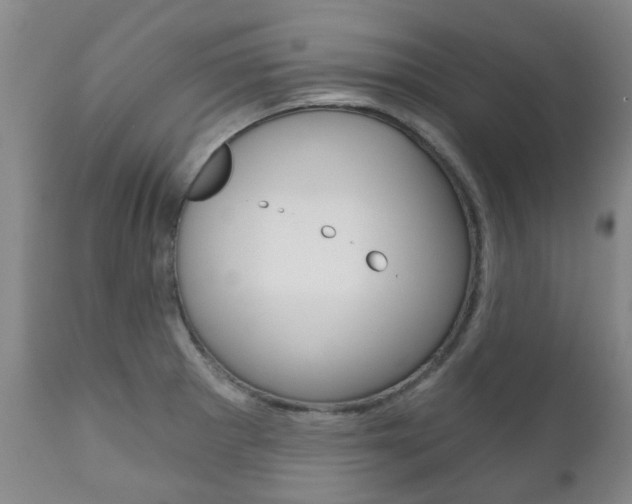 X0000111181281200907011024