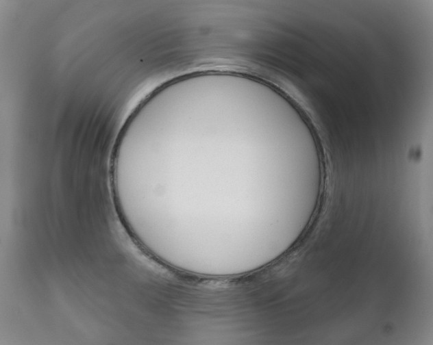 X0000111181283200907011024