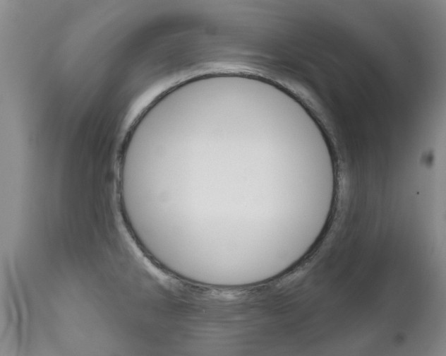 X0000111181286200907011024