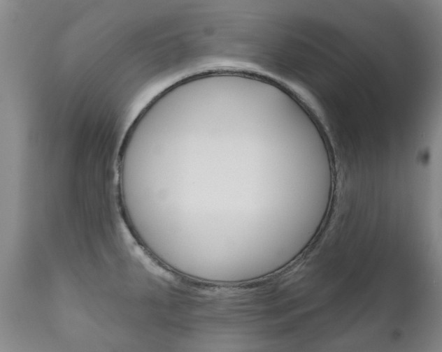 X0000111181287200907011024