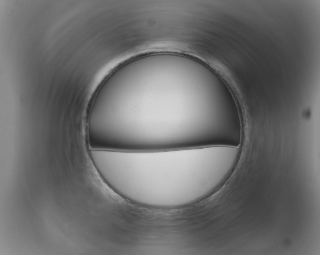 X0000111181288200907011024