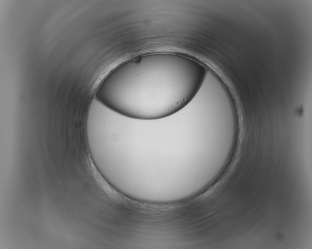 X0000111181289200907011024