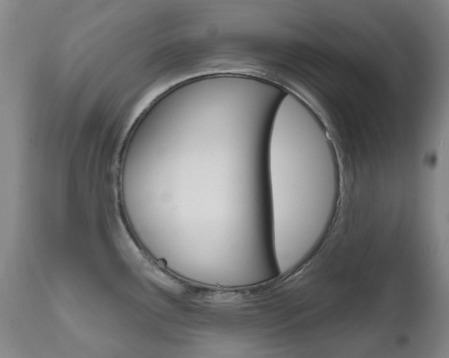 X0000111181291200907011024