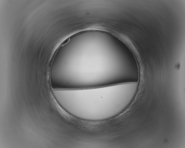 X0000111181292200907011024