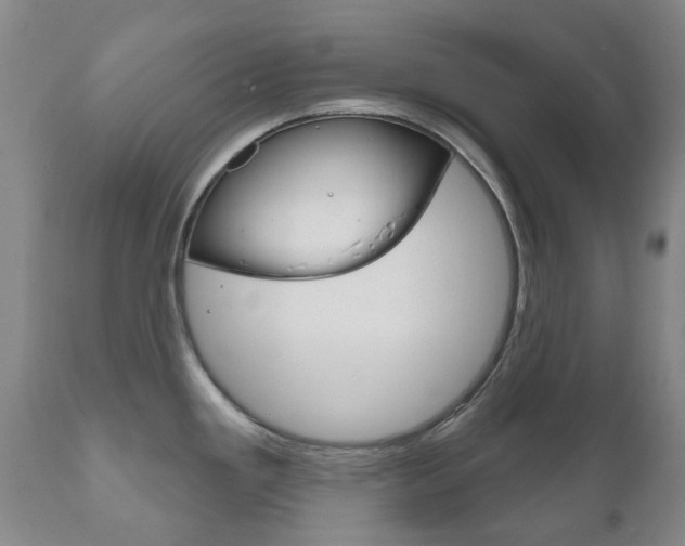 X0000111181293200907011024