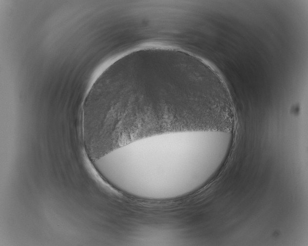 X0000111181295200907011023