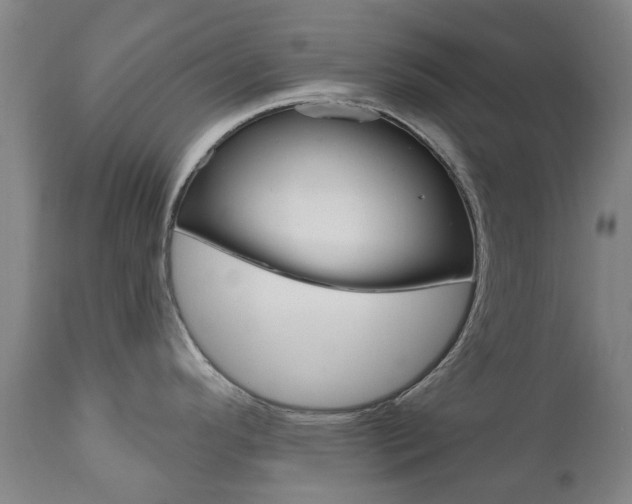 X0000111181296200907011023