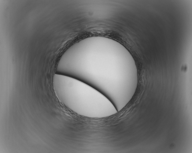 X0000111181297200907011023