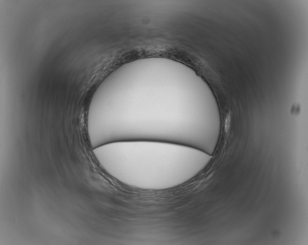 X0000111181299200907011023