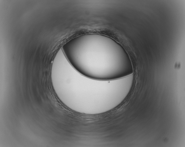 X0000111181300200907011023