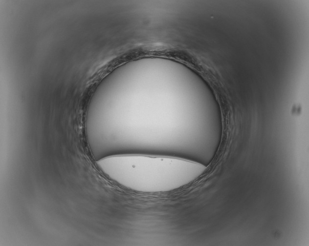 X0000111181301200907011023