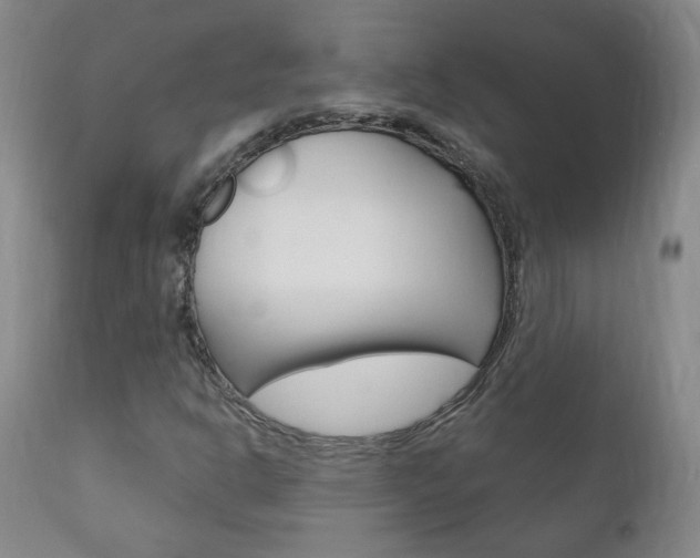 X0000111181302200907011023
