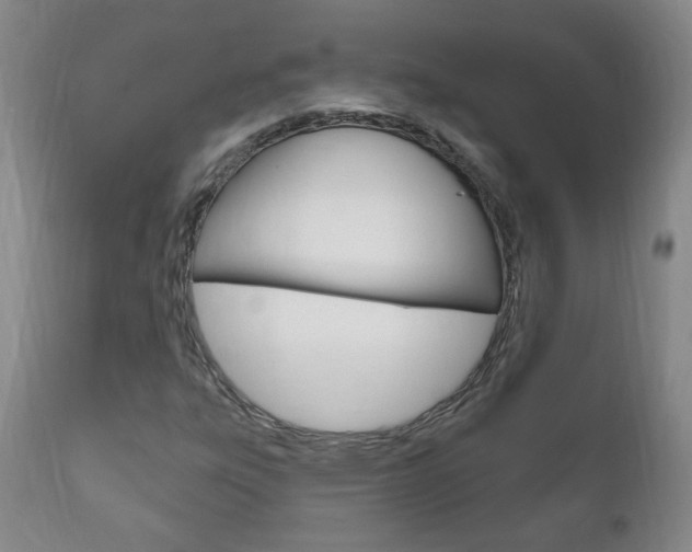 X0000111181303200907011023