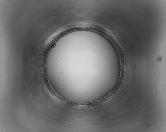 X0000111181304200907011023