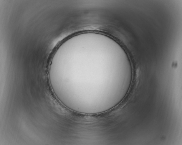 X0000111181308200907011023