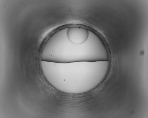 X0000111181311200907011023