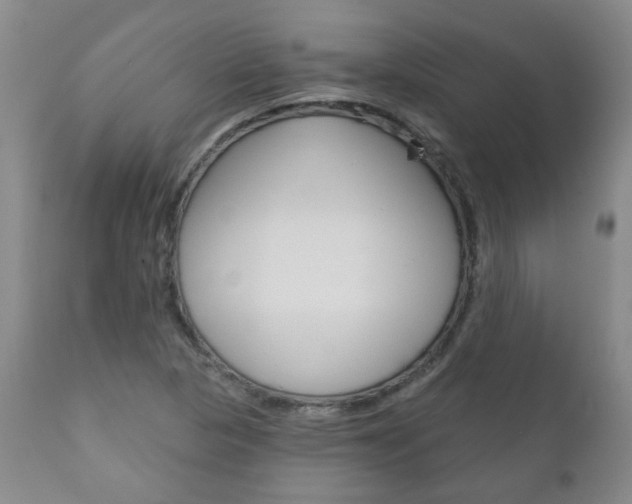 X0000111181313200907011023