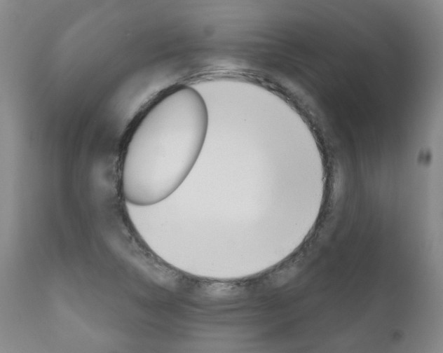 X0000111181314200907011023