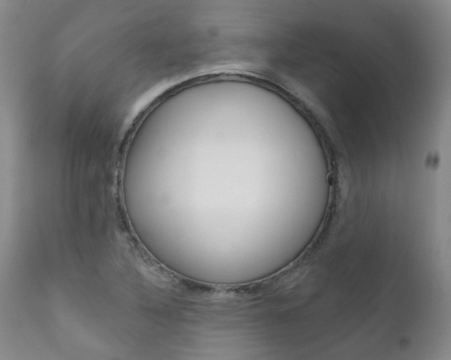 X0000111181316200907011023