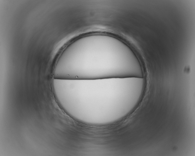 X0000111181318200907011023