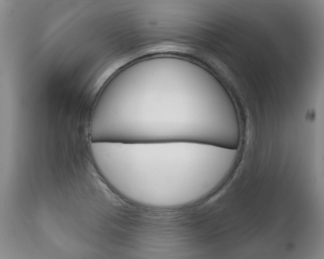 X0000111181321200907011023