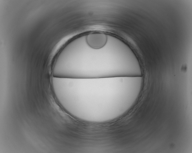 X0000111181323200907011023