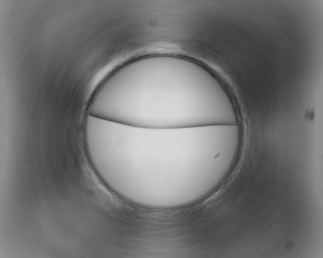 X0000111181325200907011023