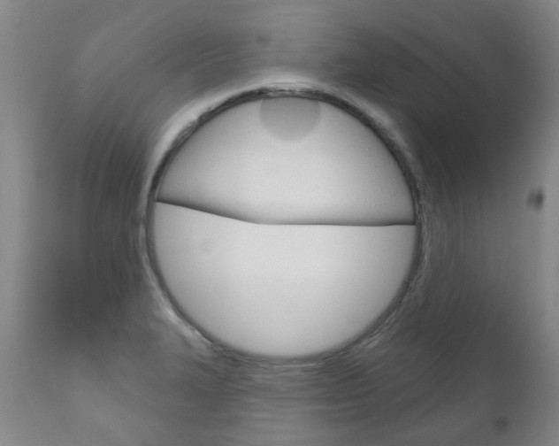 X0000111181327200907011023