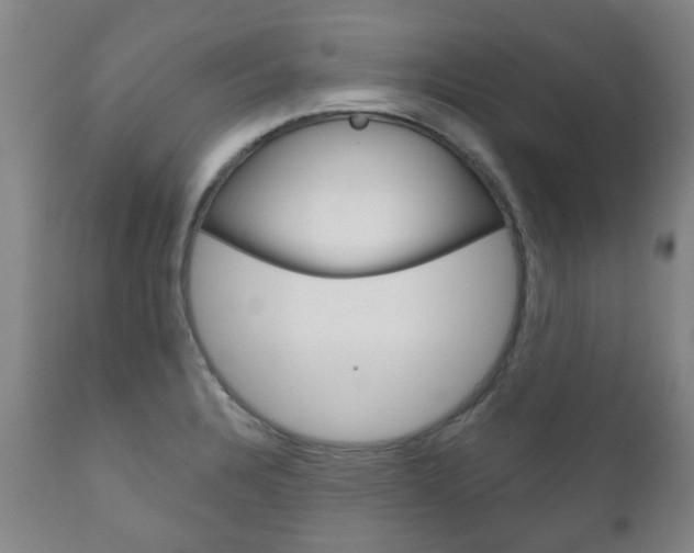 X0000111181328200907011023