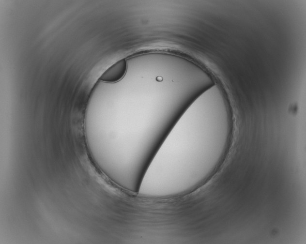 X0000111181329200907011023