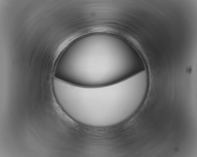 X0000111181330200907011023