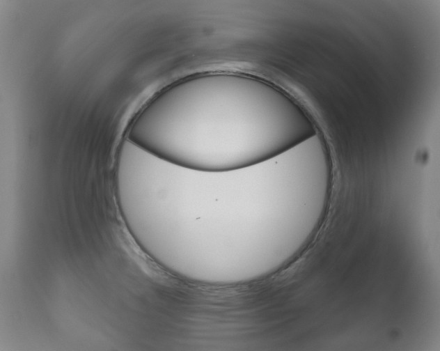 X0000111181332200907011023