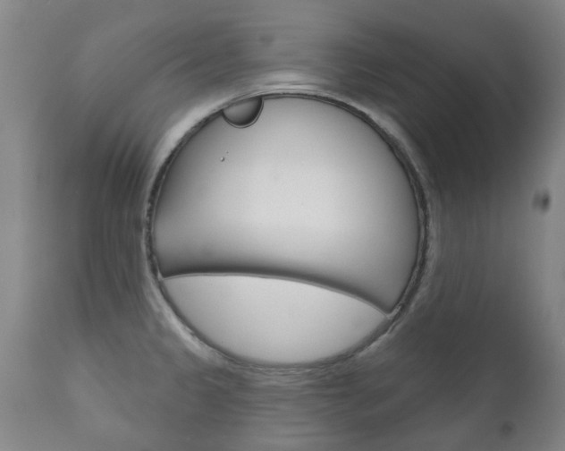 X0000111181333200907011023