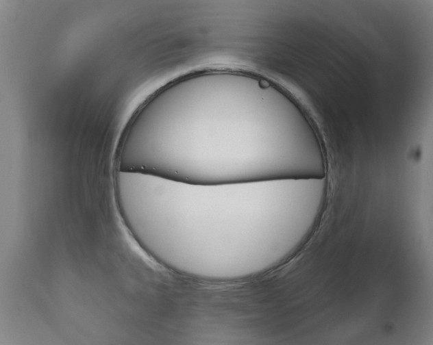 X0000111181335200907011023