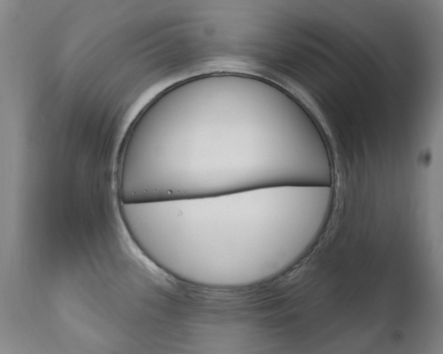 X0000111181339200907011023