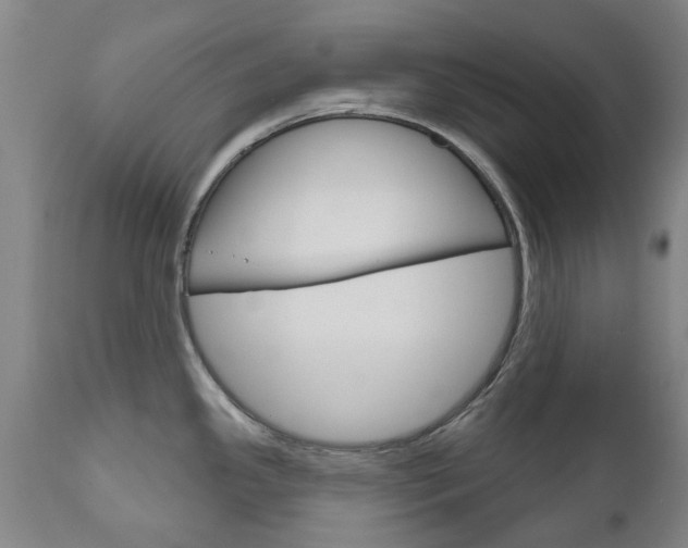X0000111181341200907011023