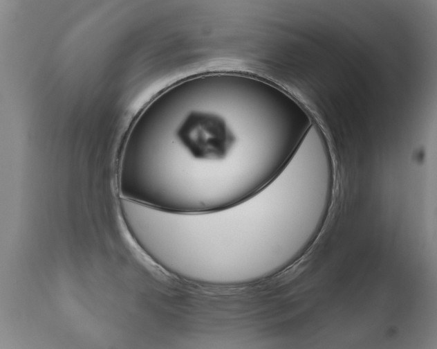 X0000111181342200907011023
