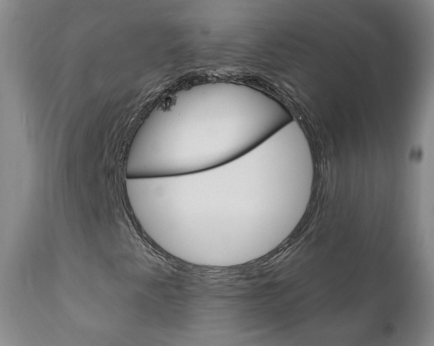 X0000111181345200907011023