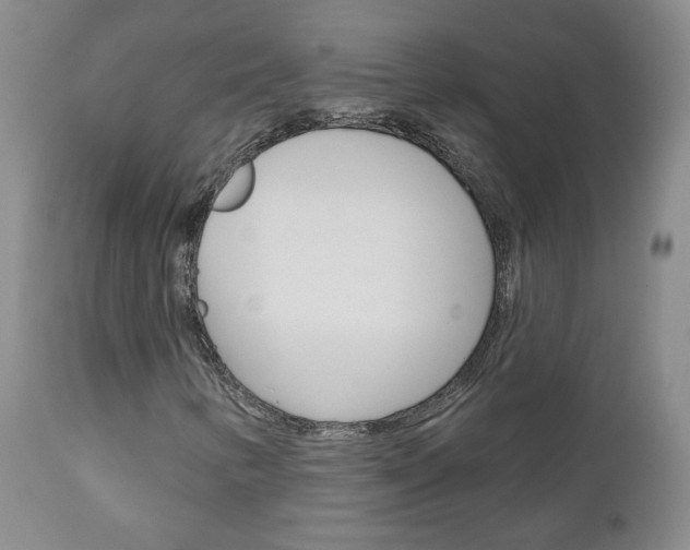 X0000111181346200907011023