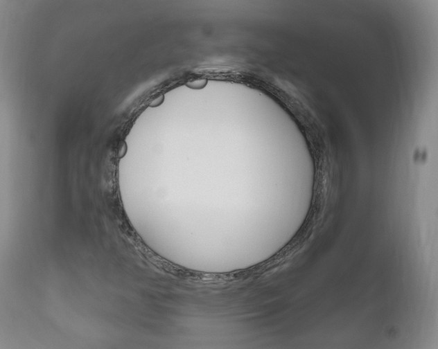 X0000111181350200907011023