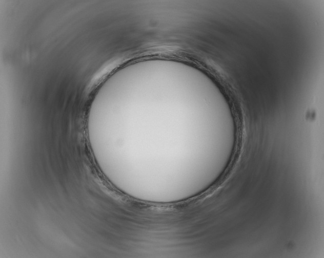 X0000111181354200907011022