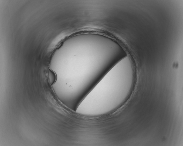 X0000111181355200907011022