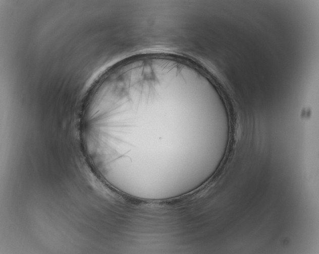 X0000111181356200907011022