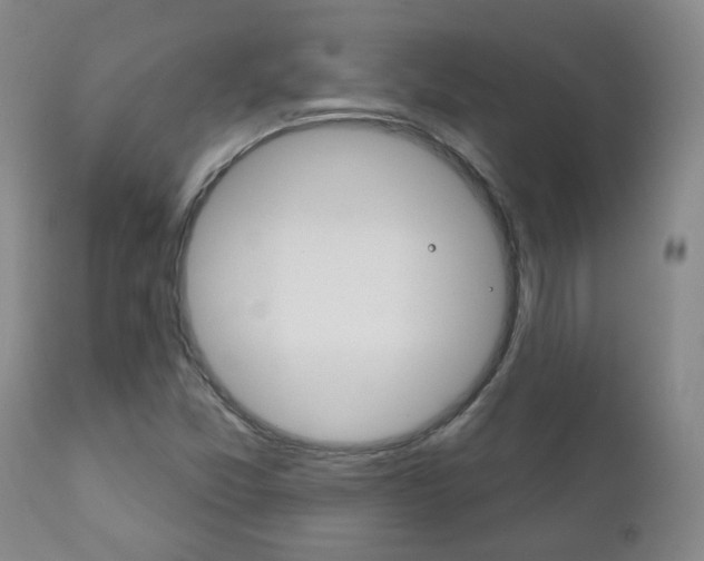 X0000111181357200907011022