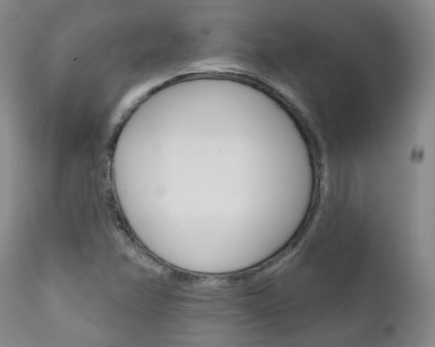 X0000111181358200907011022