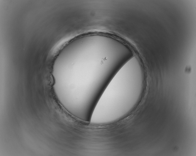 X0000111181359200907011022