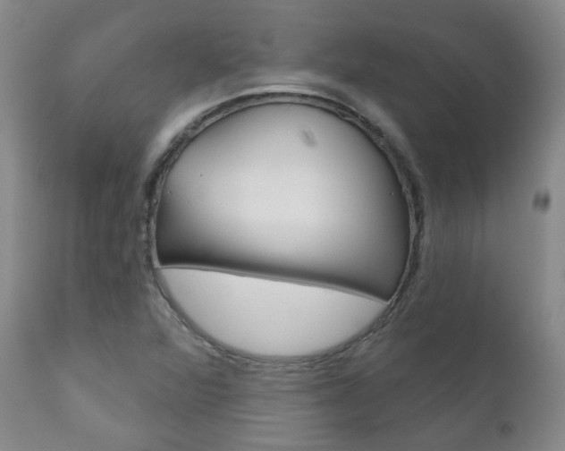 X0000111181360200907011022