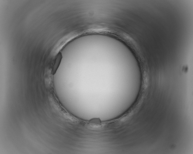 X0000111181361200907011022
