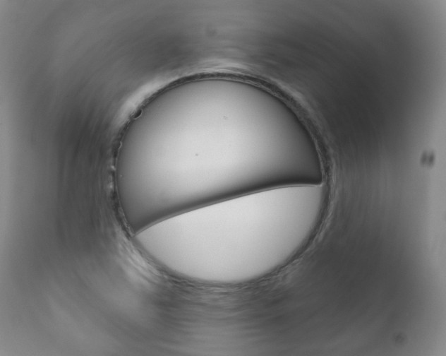 X0000111181363200907011022